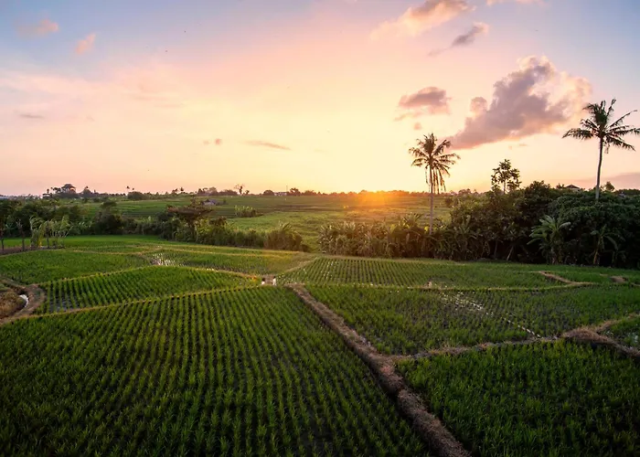 Dream Nest Bali منزل للإقامة