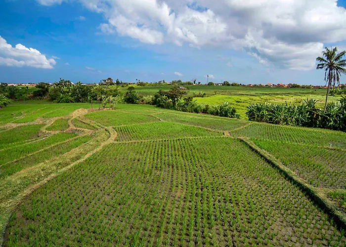 Dream Nest Bali Munggu